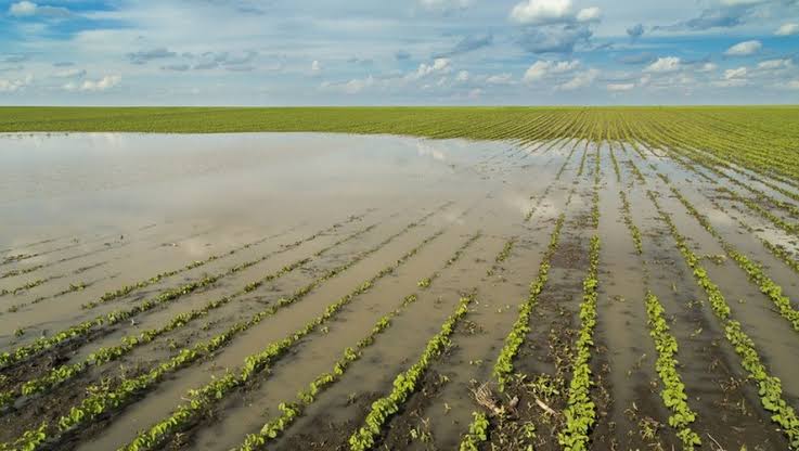 Clima extremo afeta colheitas e mineração em diferentes regiões