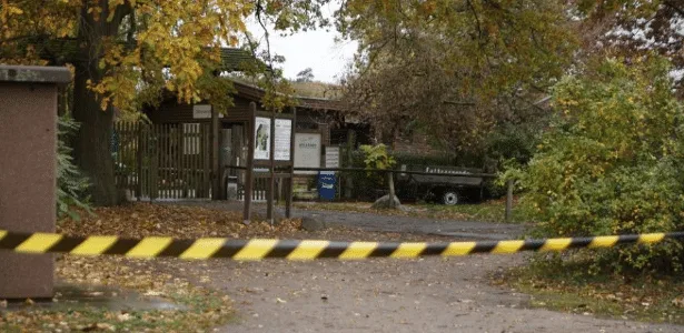 Menina de oito anos é atacada por lobo em zoológico na Alemanha