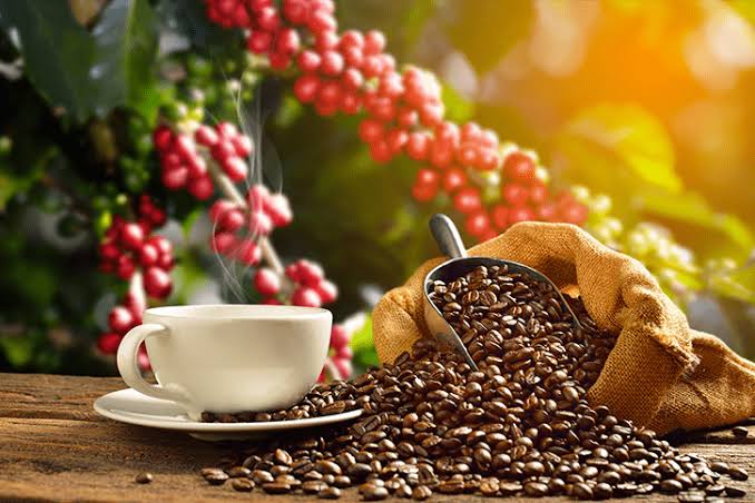 Preços do café arábica recuam nas bolsas internacionais com desvalorização do real