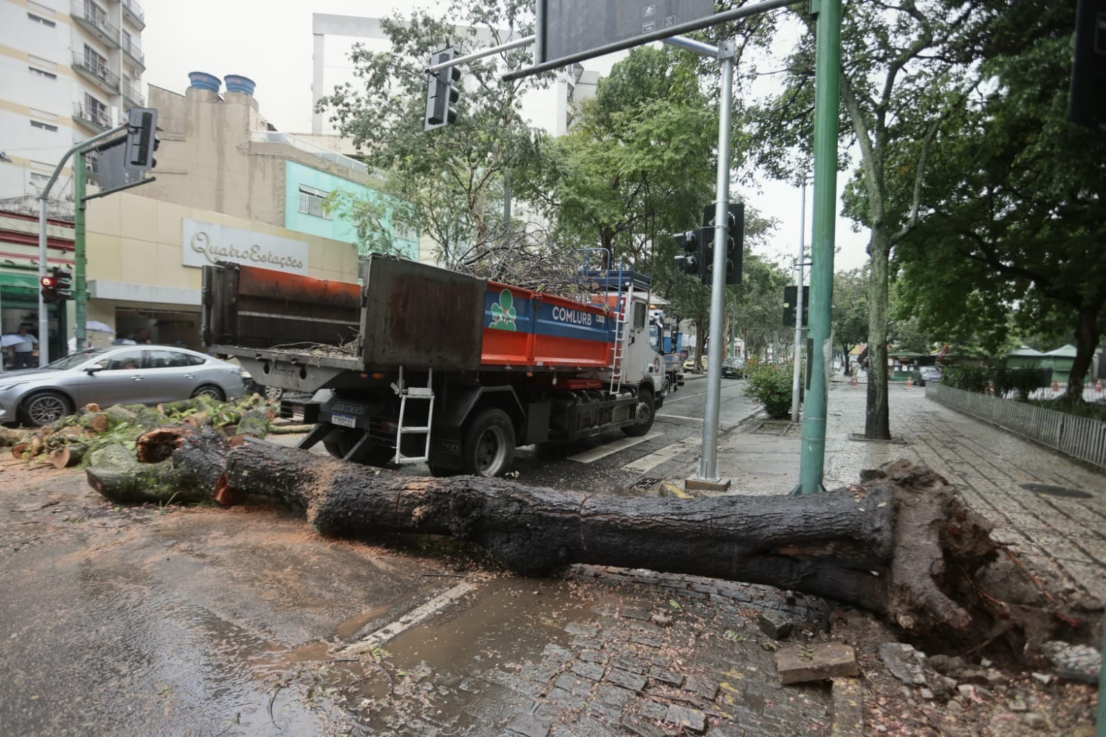 Queda de árvore de grande porte bloqueia Boulevard 28 de Setembro no Rio