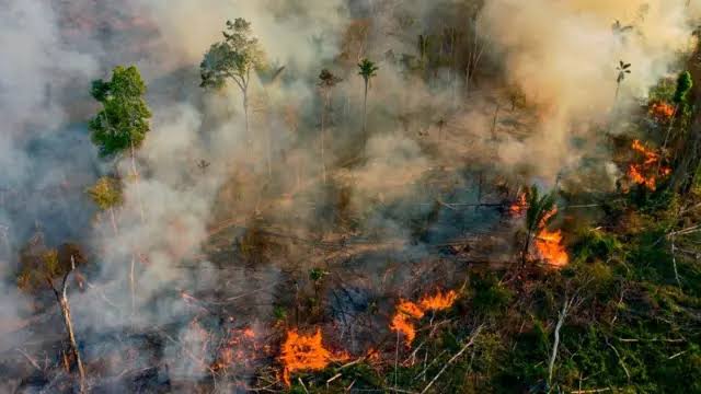 Incêndios florestais e acidentes mobilizam autoridades no país