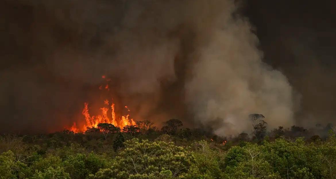 Queimadas afetam o Pará e o Amazonas com fumaça e alerta de saúde