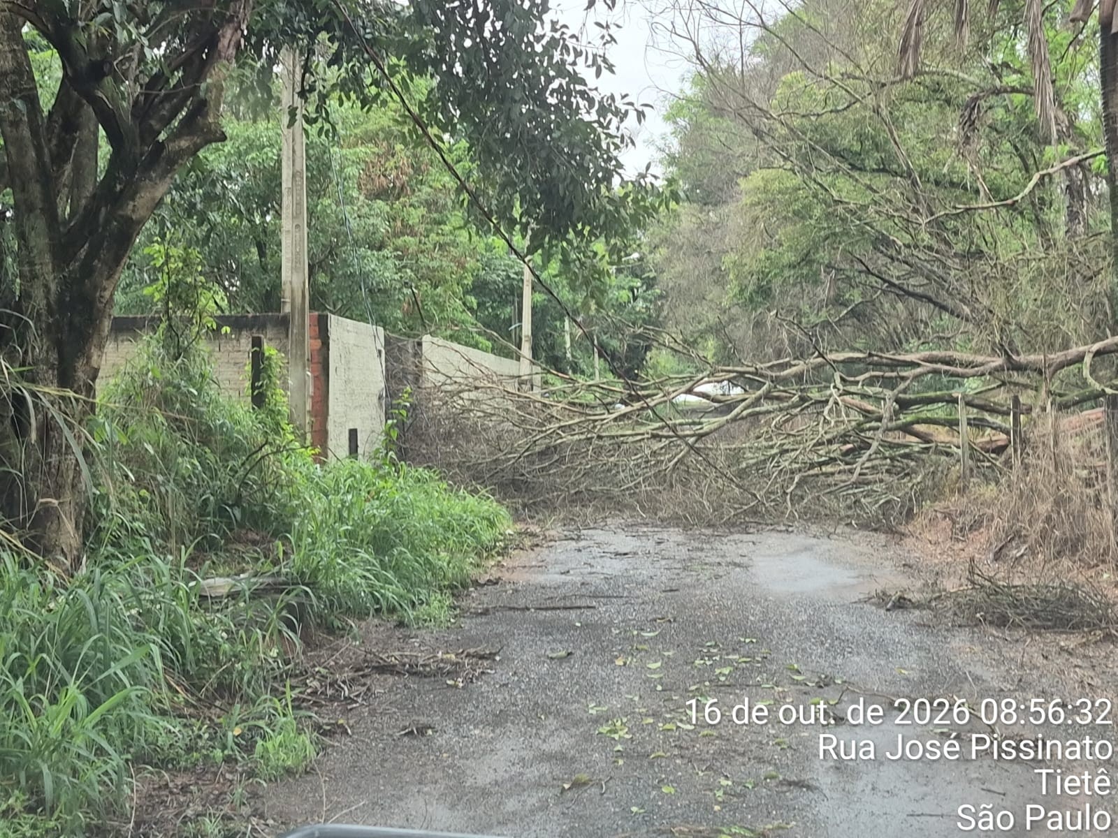 Temporais em São Paulo causam alagamentos, quedas de árvores e trânsito afetado