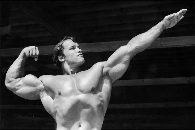 Arnold Schwarzenegger e sua trajetória entre o cinema e a conservação
