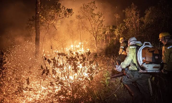 Ibama aplica R$ 2 milhões em multas por queimadas ilegais na Amazônia