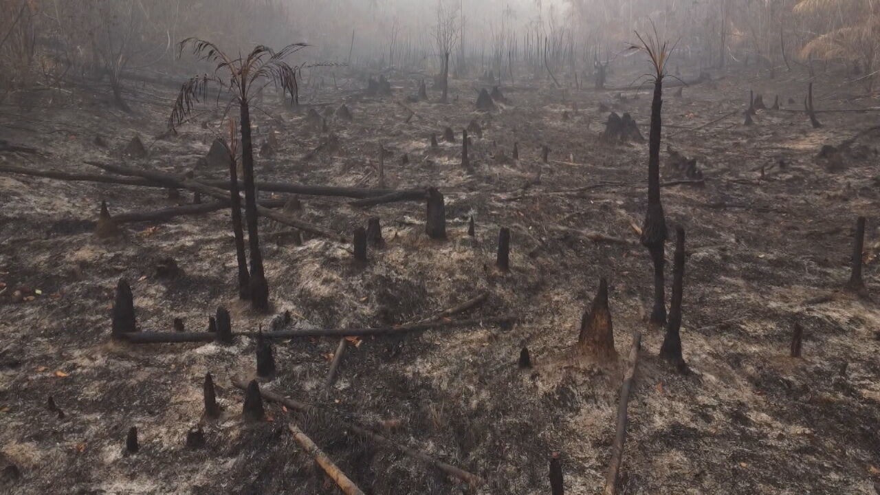 Governo federal amplia apoio militar contra queimadas no Amazonas