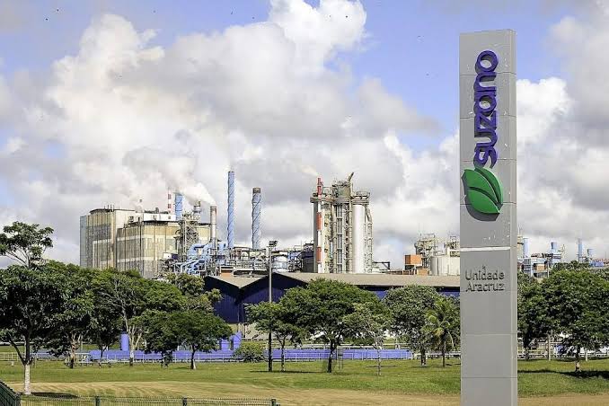Ações da Suzano sobem após reeleição de Lula e prévia do Safra