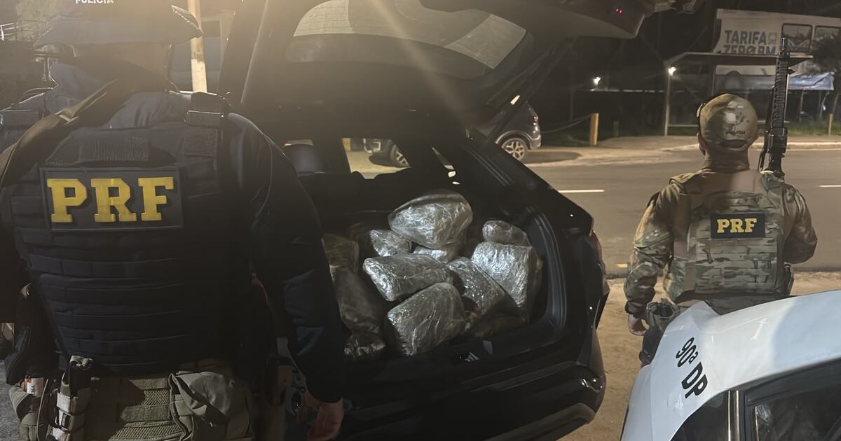 PRF prende homem com mais de 80 kg de skunk na Via Dutra, em Barra Mansa