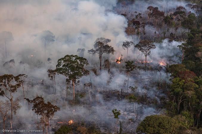 Avanço de queimadas e fumaça na Amazônia exige ações urgentes