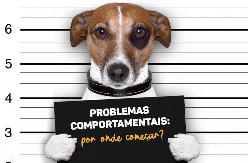 Estudo aponta impacto de traumas precoces no comportamento de cães
