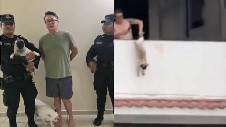 Ex-jogador de futebol é preso em El Salvador por maus-tratos a animais