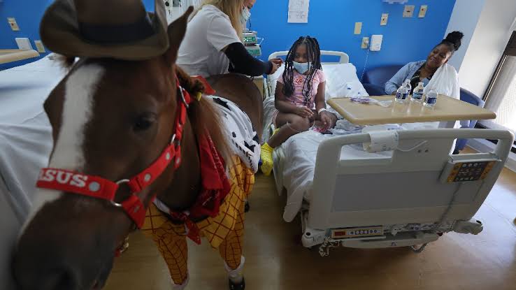 Cavaleiros profissionais visitam hospital infantil em Miami