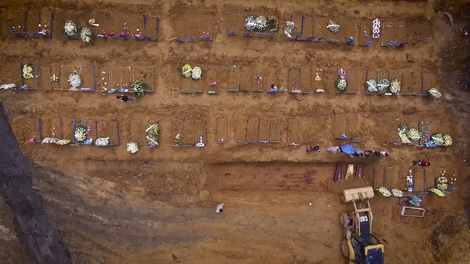 Documentário sobre a CPI da Covid é disponibilizado gratuitamente online