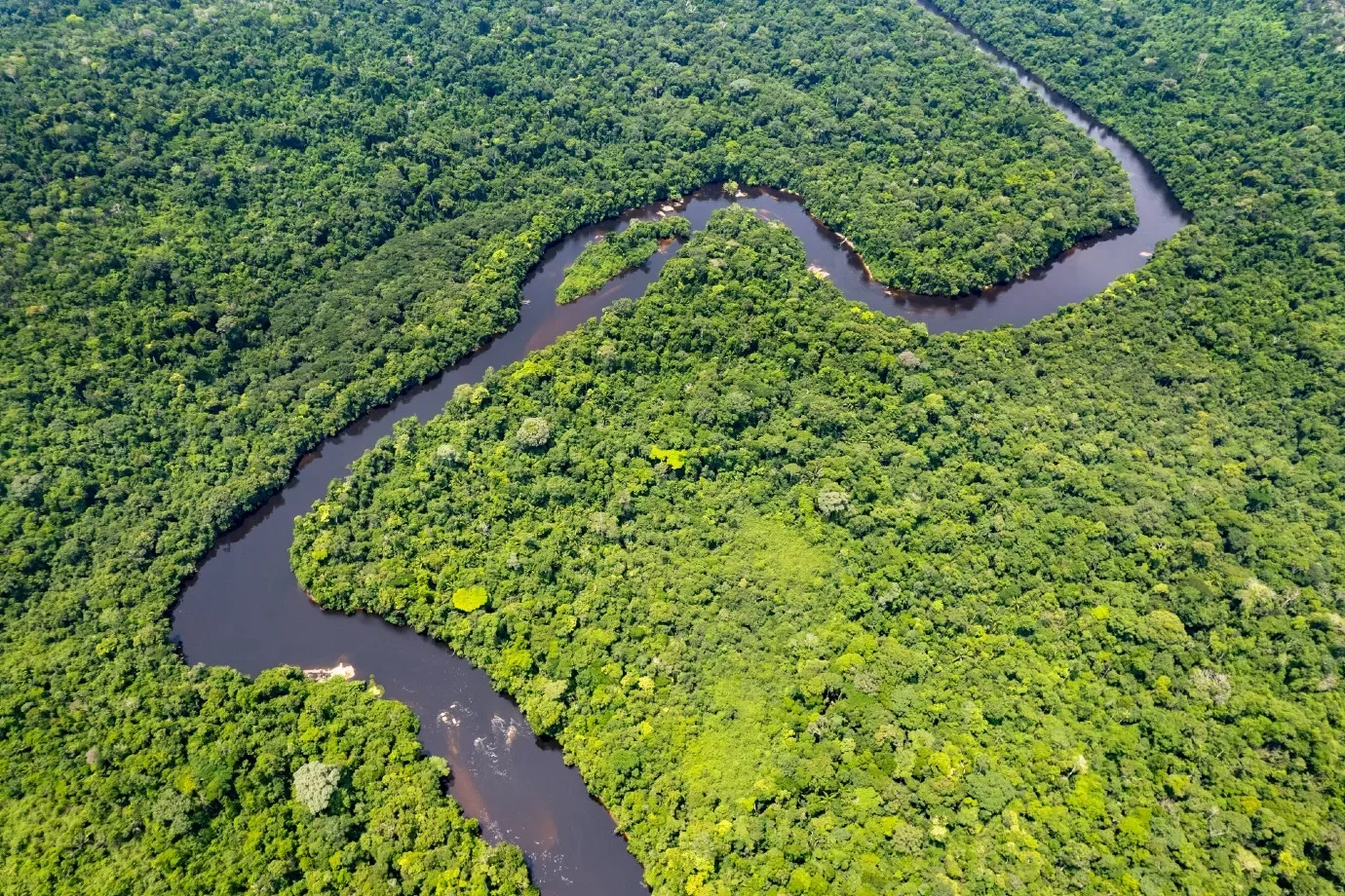 Desmatamento cai na Amazônia e no Cerrado e atinge menor nível histórico