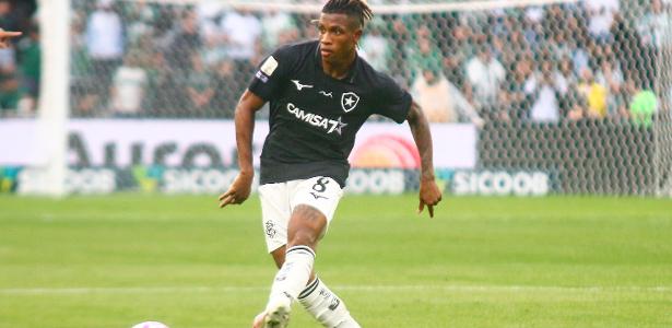 Botafogo recebe a Chapecoense no Nilton Santos pela 31ª rodada