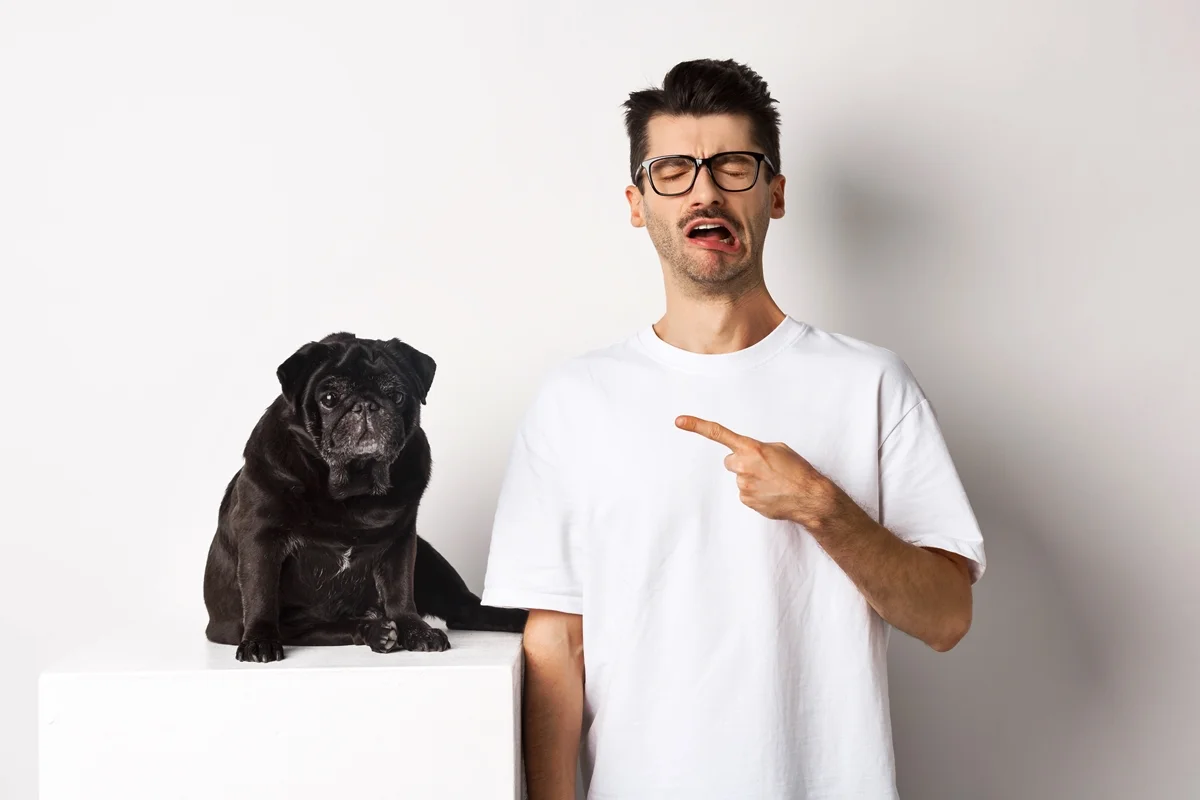 Especialistas alertam para os riscos da dependência emocional em pets