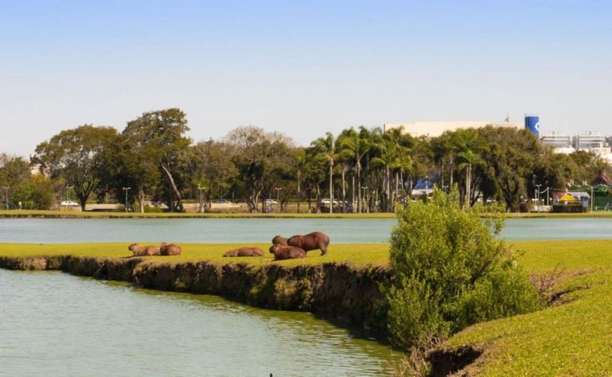 Previsão do tempo aponta contraste com frio no Sul e chuvas fortes no país