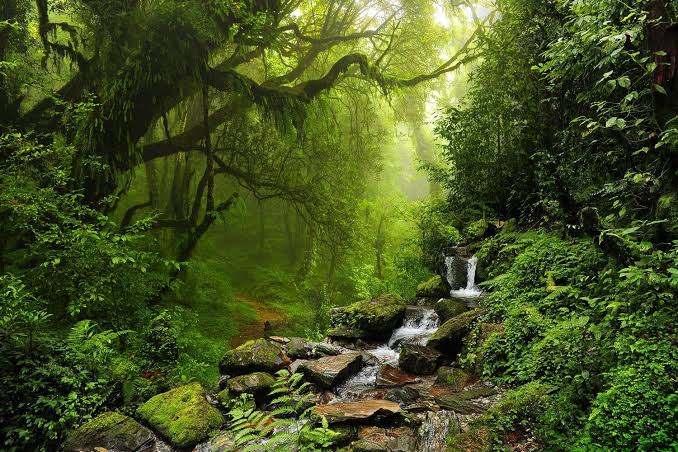 Encontro clandestino em área natural termina em briga generalizada