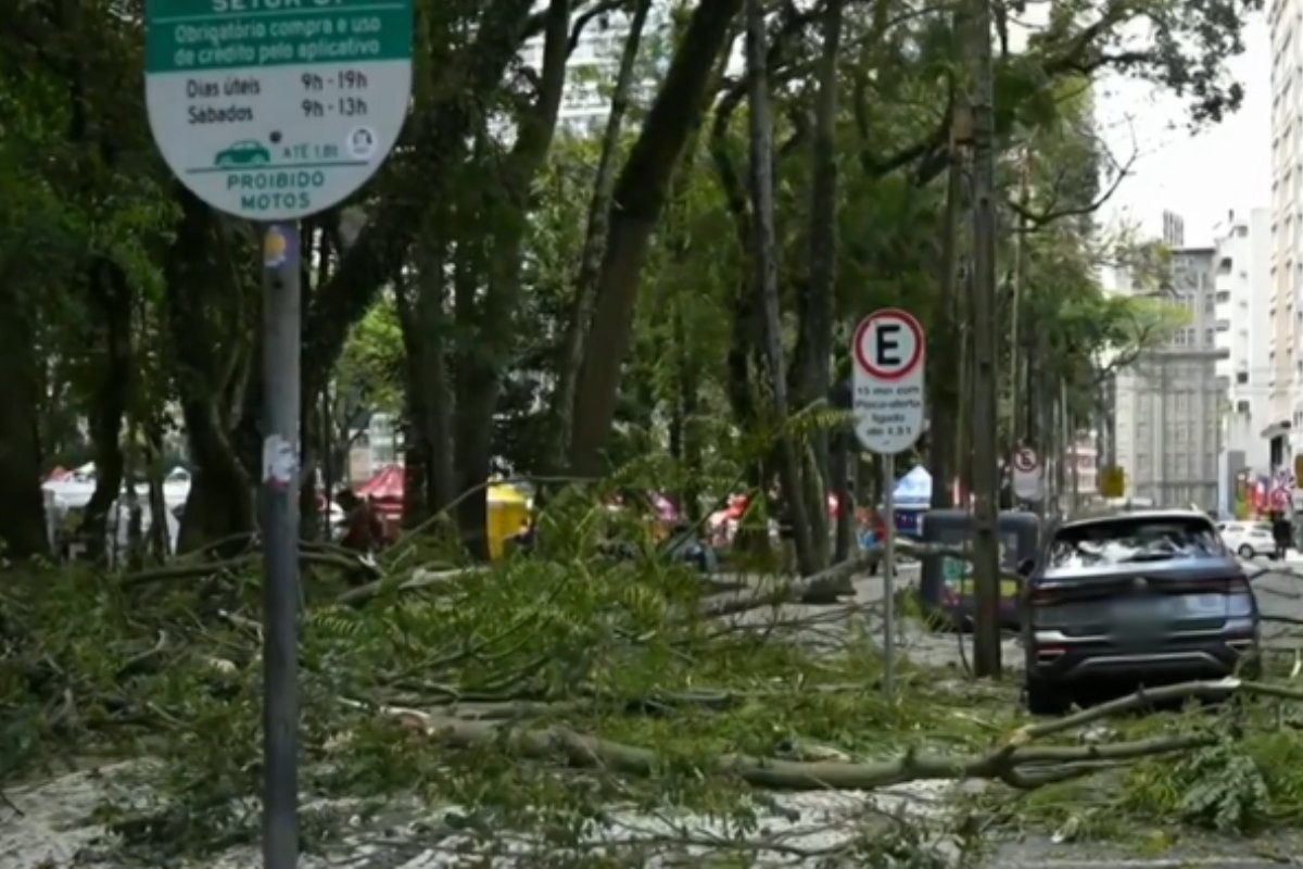 Queda de galho de árvore deixa mulher ferida na Praça Osório em Curitiba