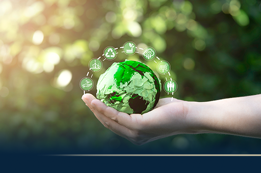 Sustentabilidade e reaproveitamento ganham espaço em negócios e lares