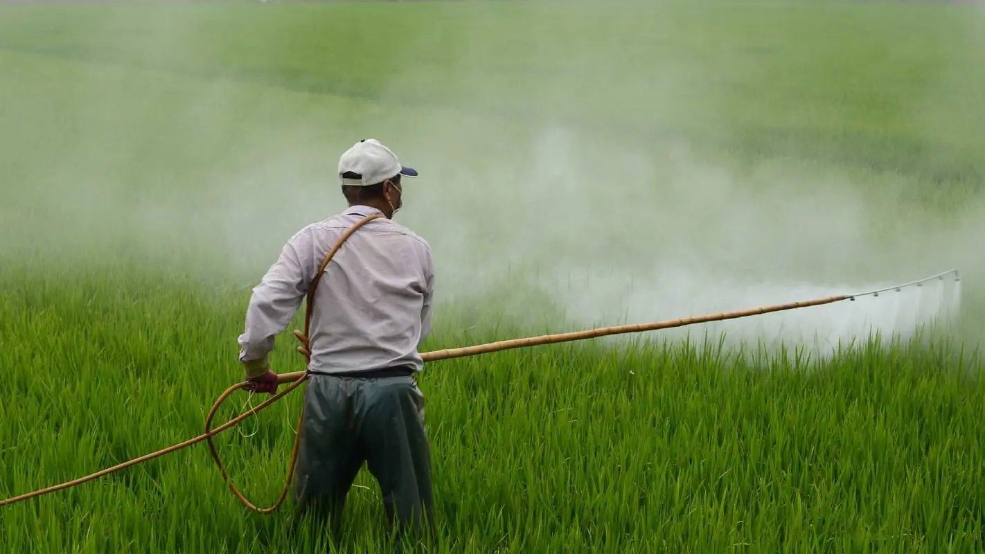 Brasil é o segundo maior importador de pesticidas proibidos na União Europeia