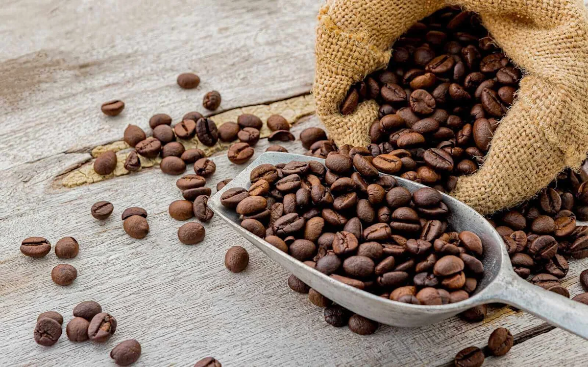 Queda nos preços do café e impacto das condições meteorológicas