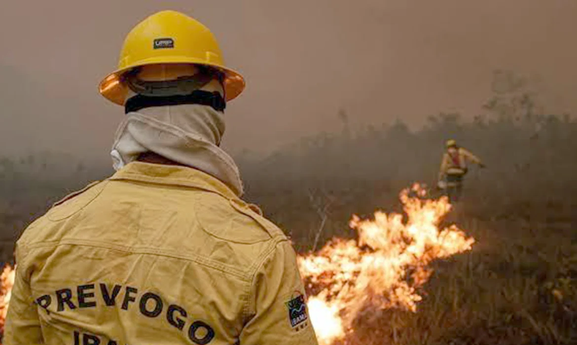 Focos de incêndio no Amazonas caem após atuação de força-tarefa
